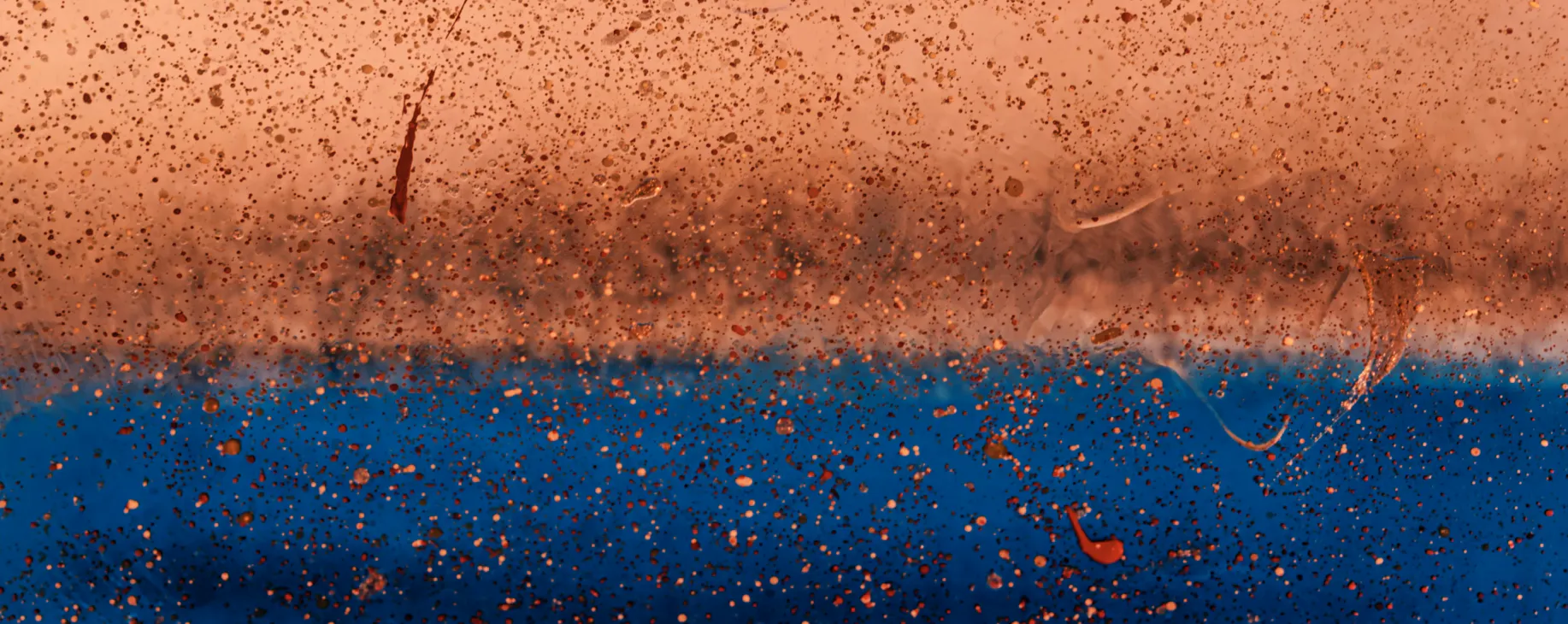 What Are Complementary User Entity Controls (CUECs) & Why Do They Matter?