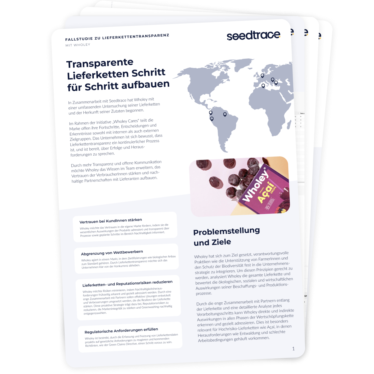 Wholey Case Study Visual 