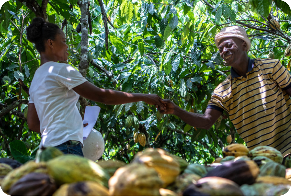 Seedtrace: CSR Data Management – Social Impact Criteria