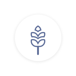 Lieferkettentransparenz