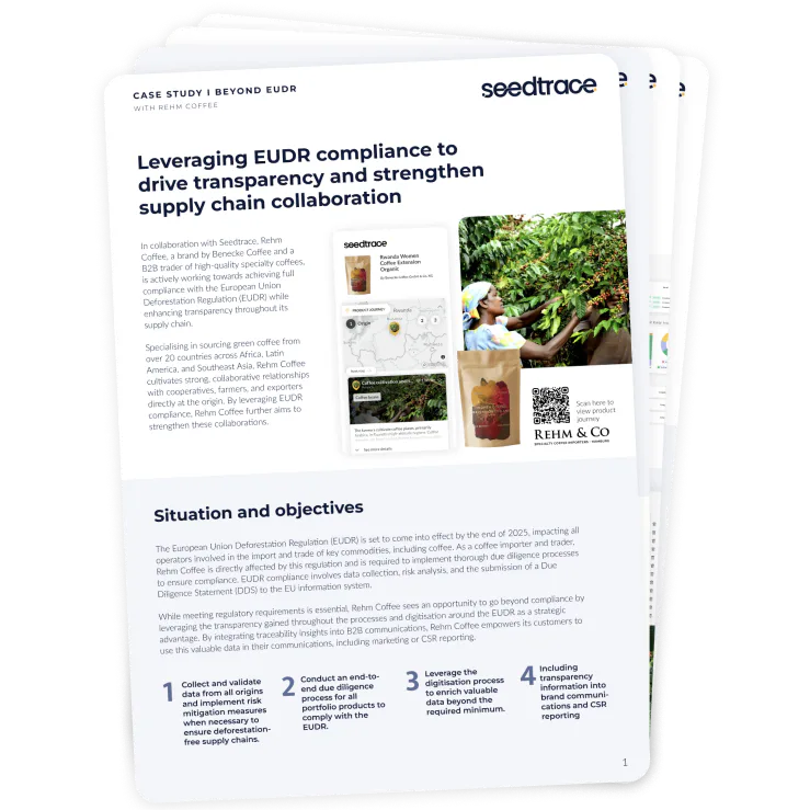 Rehm Case Study Website Visual