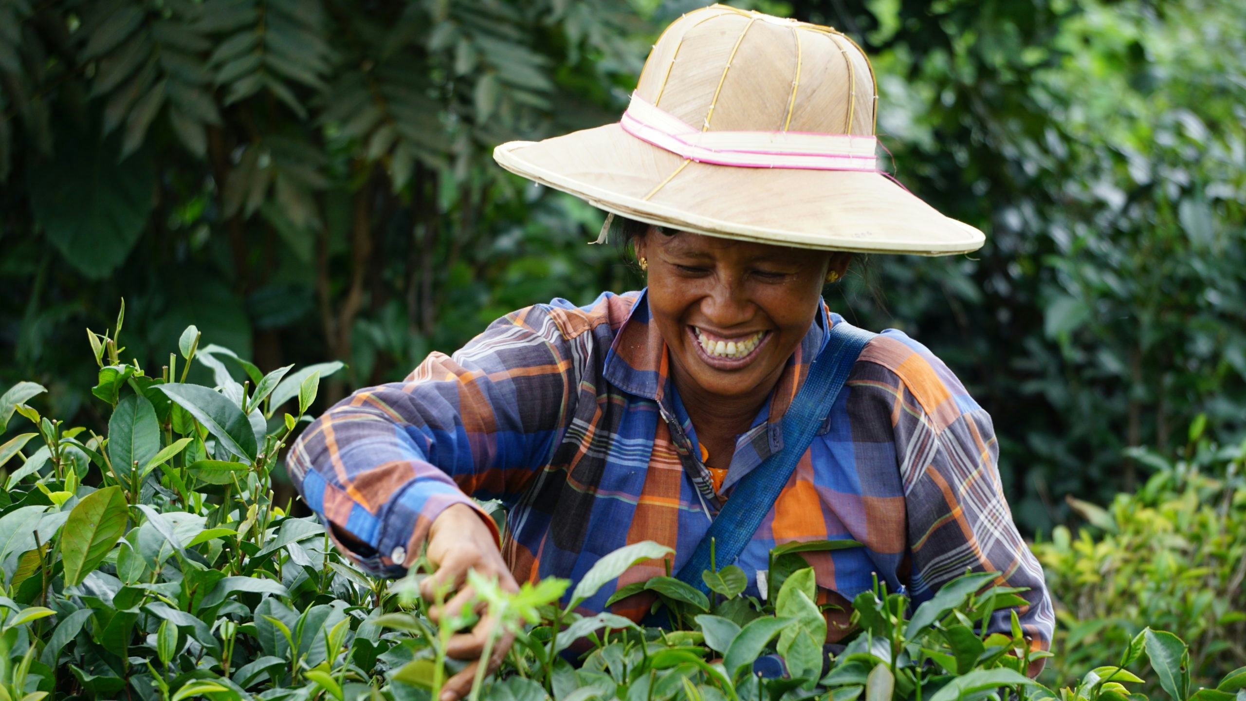 A woman with plants