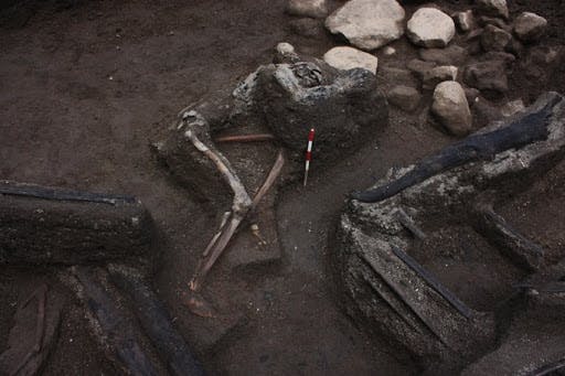 Skeletal remains of a victim discovered during an excavation in 2009