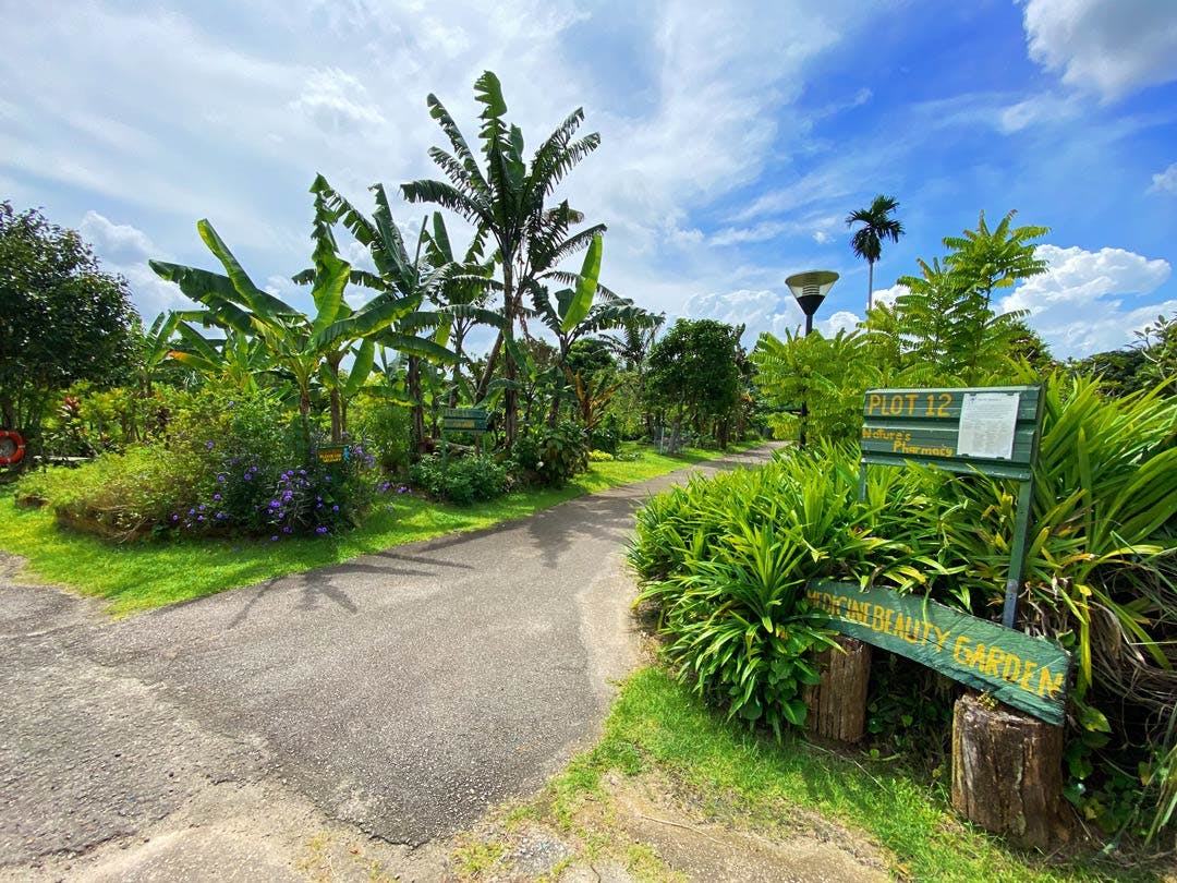 Check Out a Veggie Farm