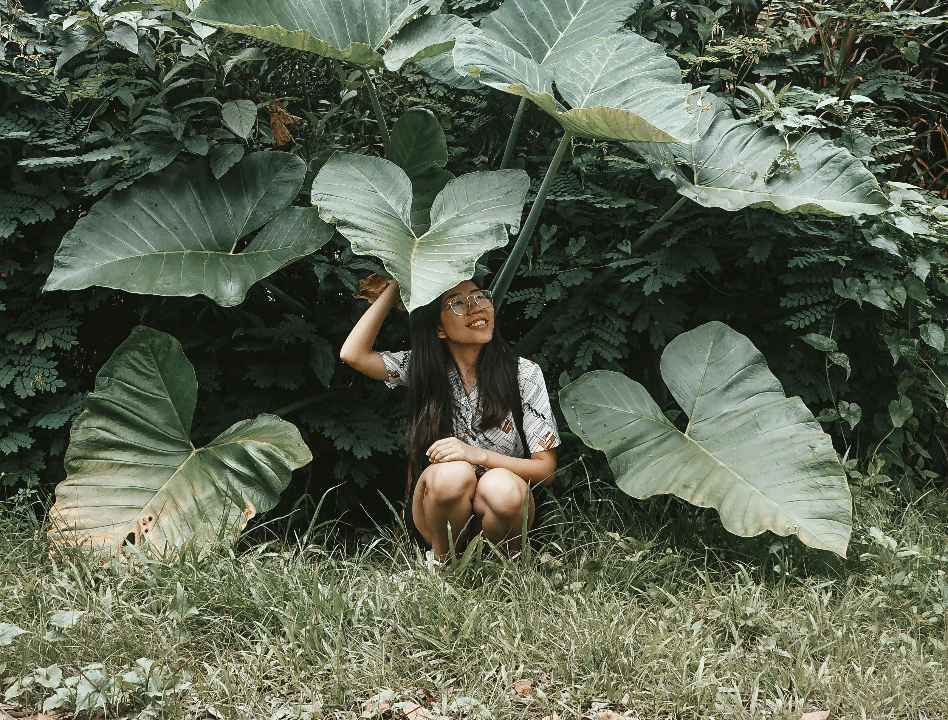 This plant which Kyanta pointed out reminded us of the famous Totoro scene