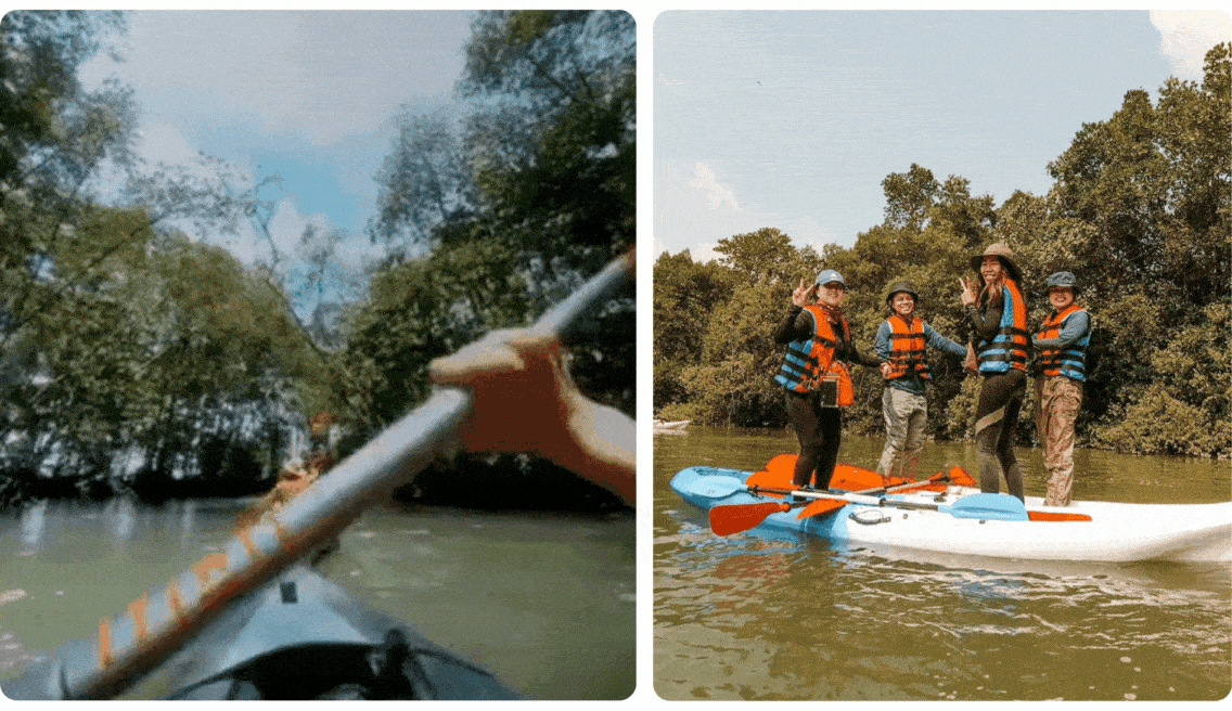Mangrove kayaking is one of our favourite ways to immerse in nature in Singapore. 
