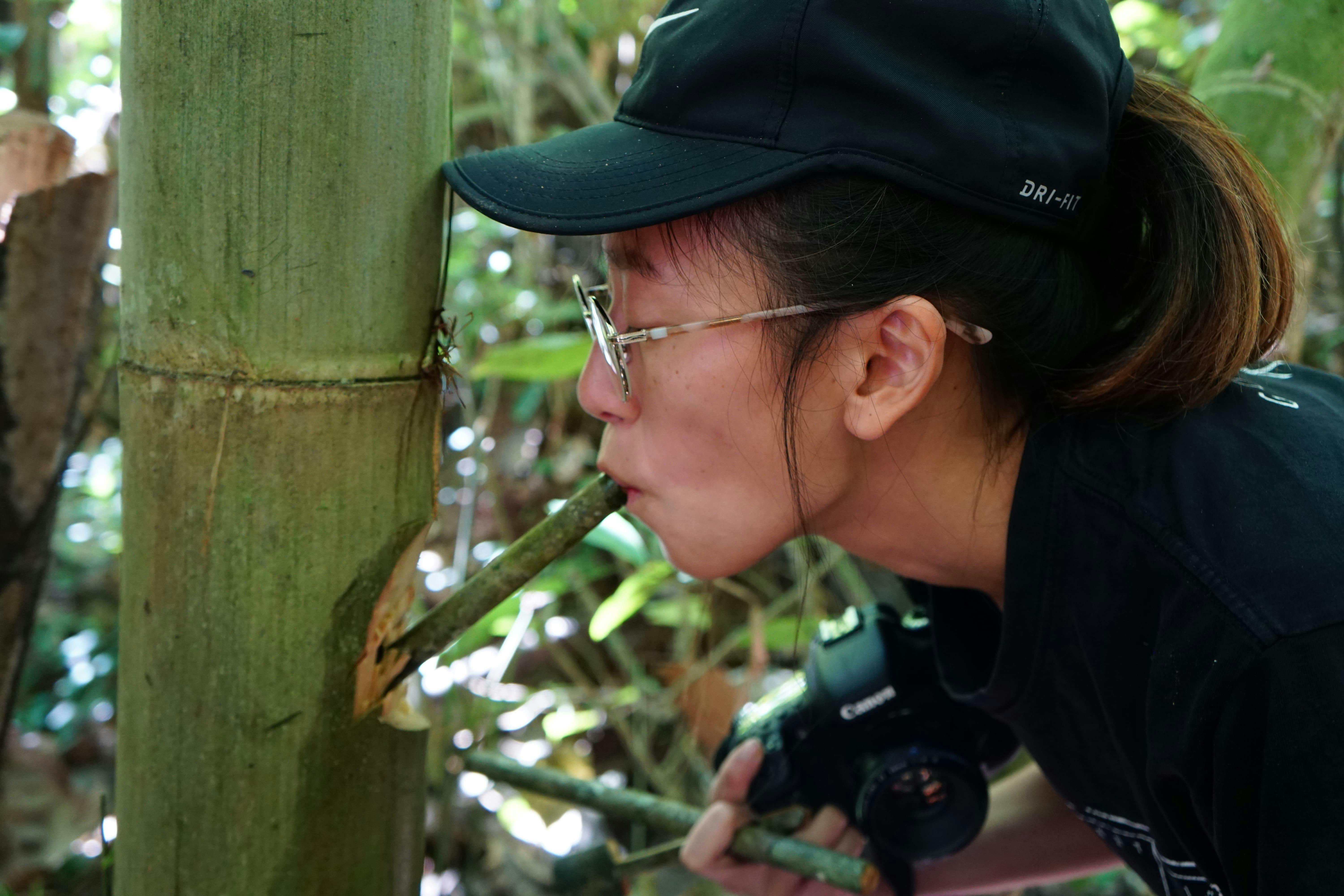 Drinking fresh water from bamboo using straws made of bamboo