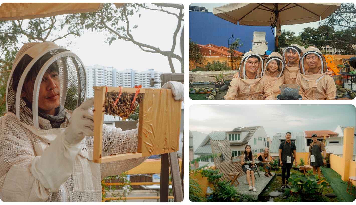 Visit the coolest rooftop farm in Singapore - it houses rescued bees!