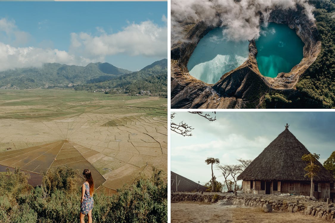 Drive to the heart of Flores Island with spiderweb rice fields, tri-coloured volcanoes and traditional villages. 