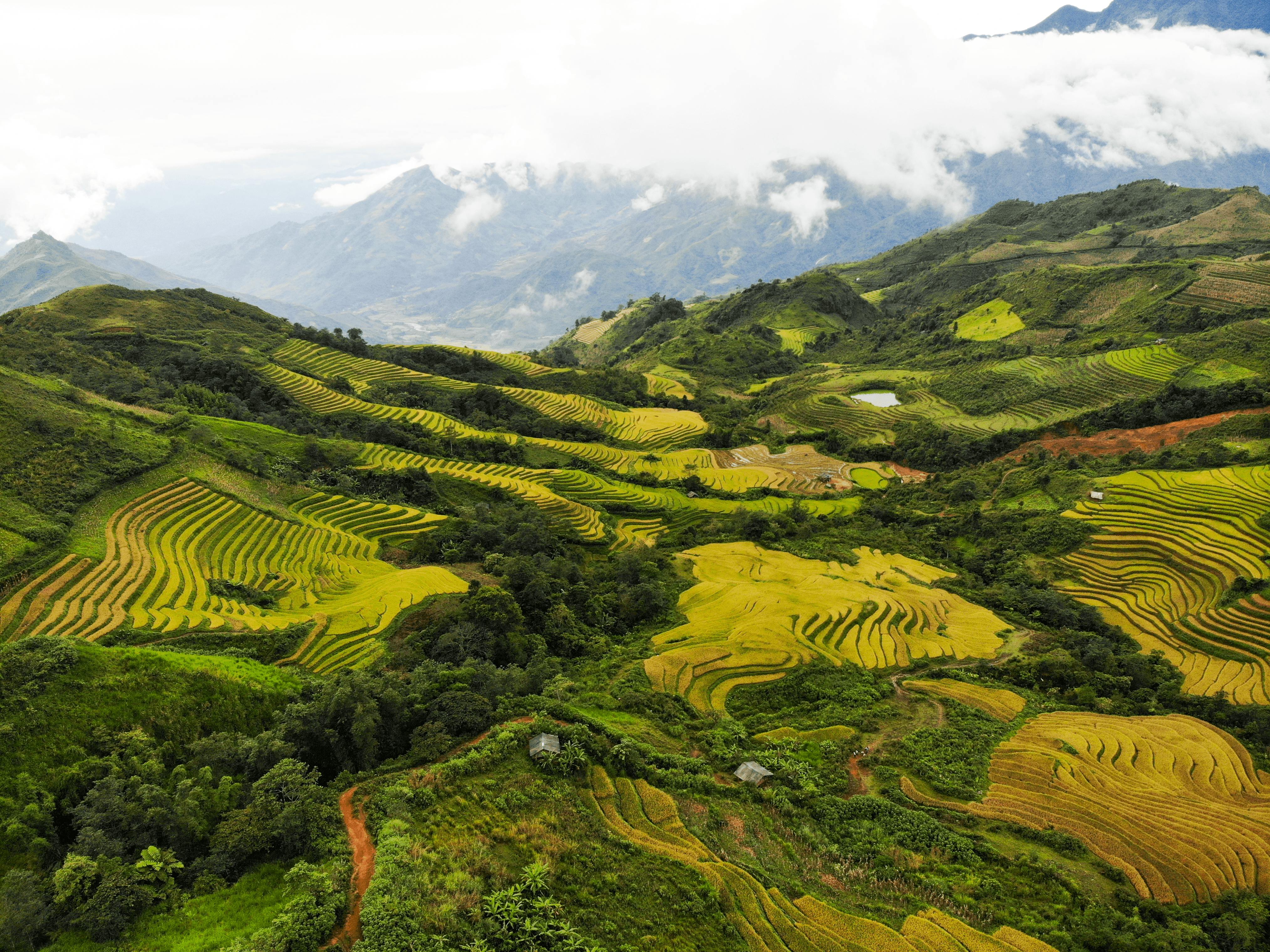 Your Complete Guide to Trekking in Sapa