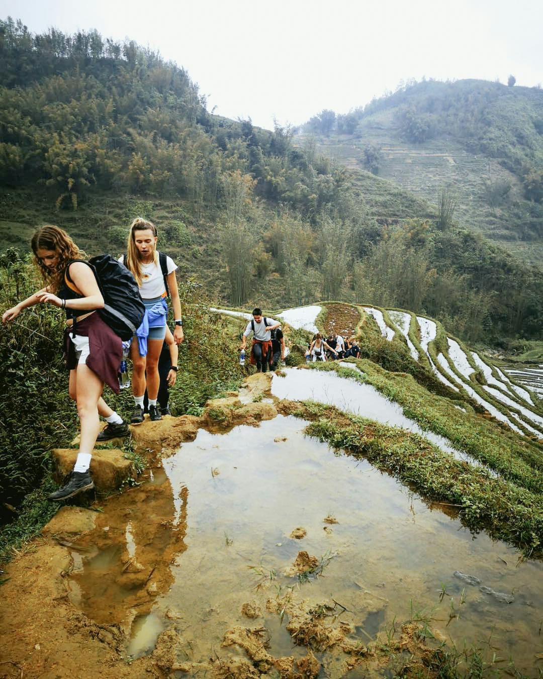 The most popular thing to do in Sapa is to explore the rice paddy fields by trekking. 