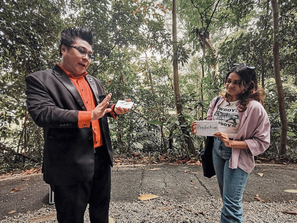 See Sentosa with a Magician 