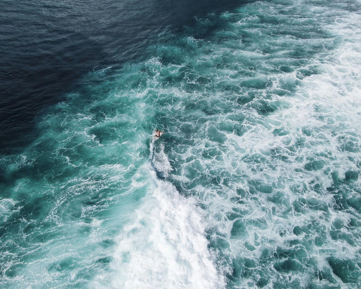 Pair your Surf Trip with Wild Elephant Safaris, Lost Tribes & Blue Whales