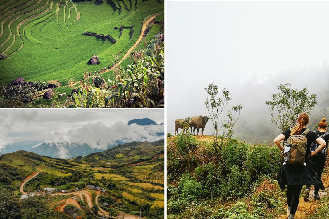 Come in June for green rice paddy views (top) and in Autumn for golden hues (bottom). But be prepared for fog (right). 