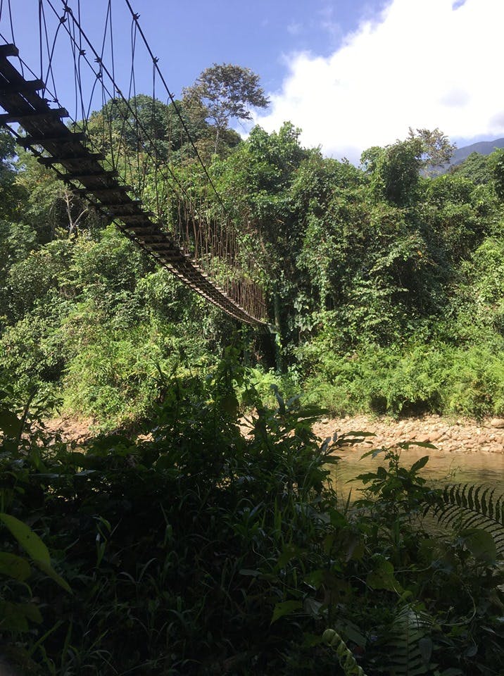 The canopy walk at Mulu is not for the faint hearted!