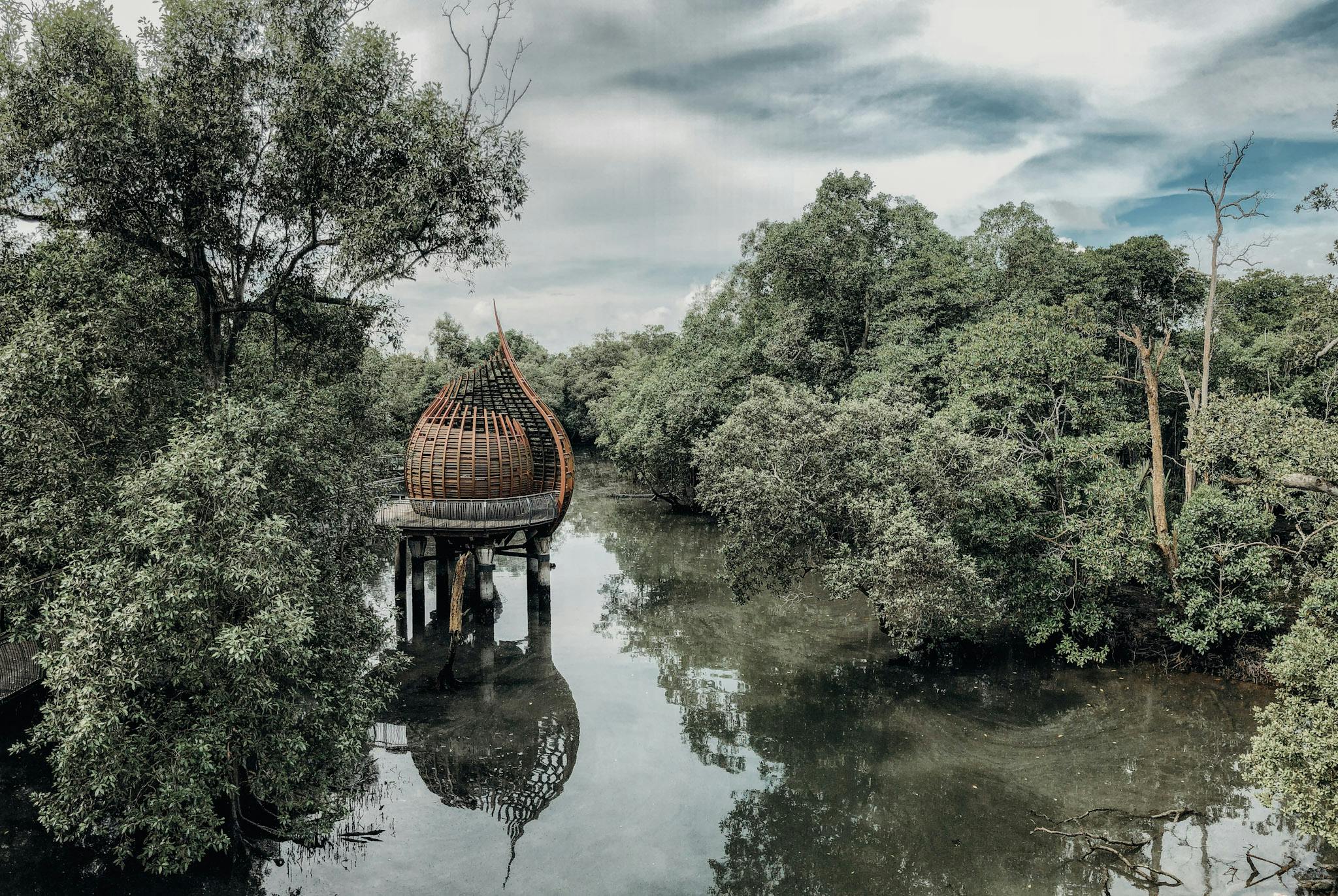 Sungei Buloh is a national park surrounded by mangroves and teeming with wildlife