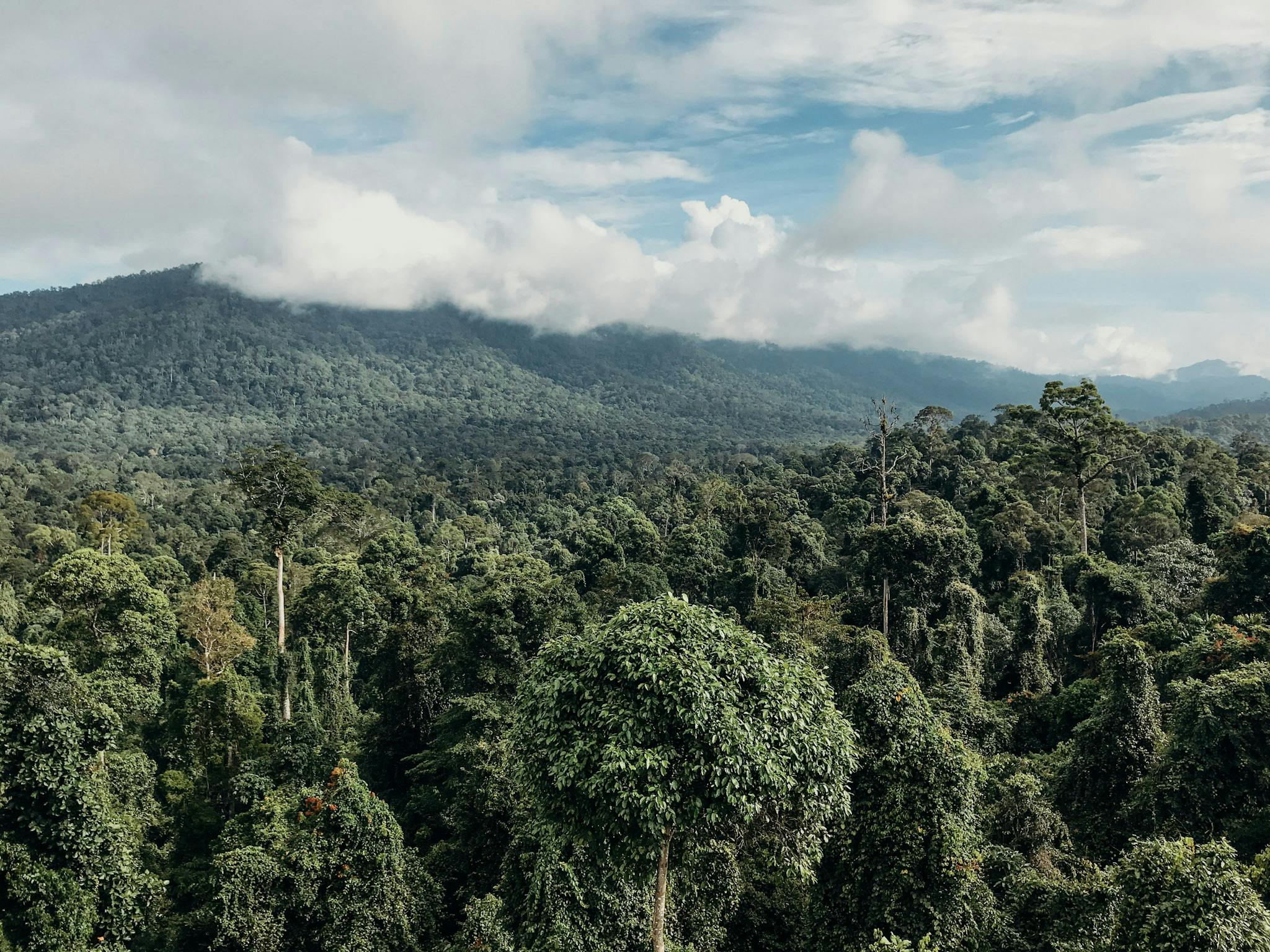 Uncovering Maliau Basin - The Most Untouched Place on Earth