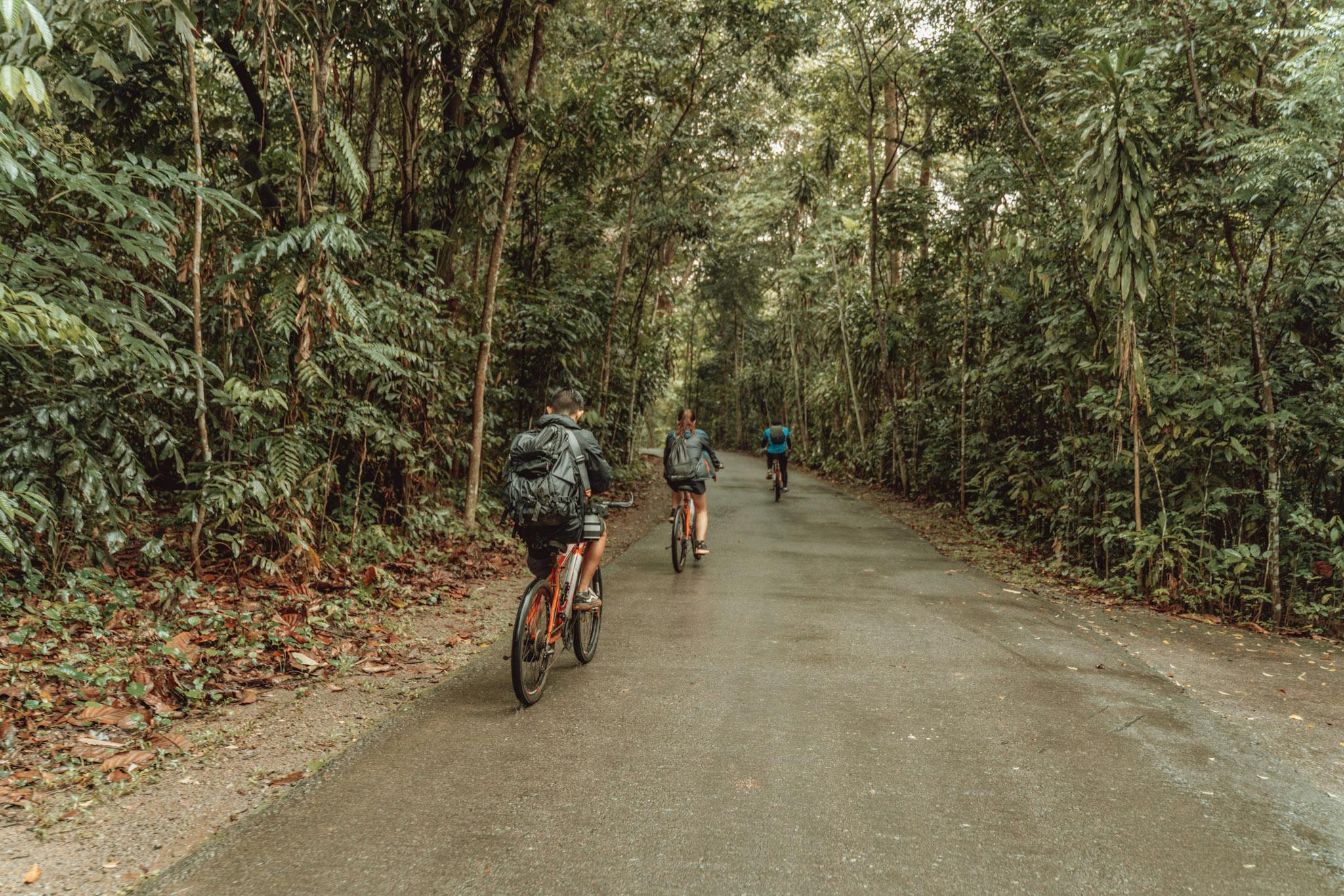 Recharge in nature with a cycling trip to Ubin, and learn about the flora and fauna