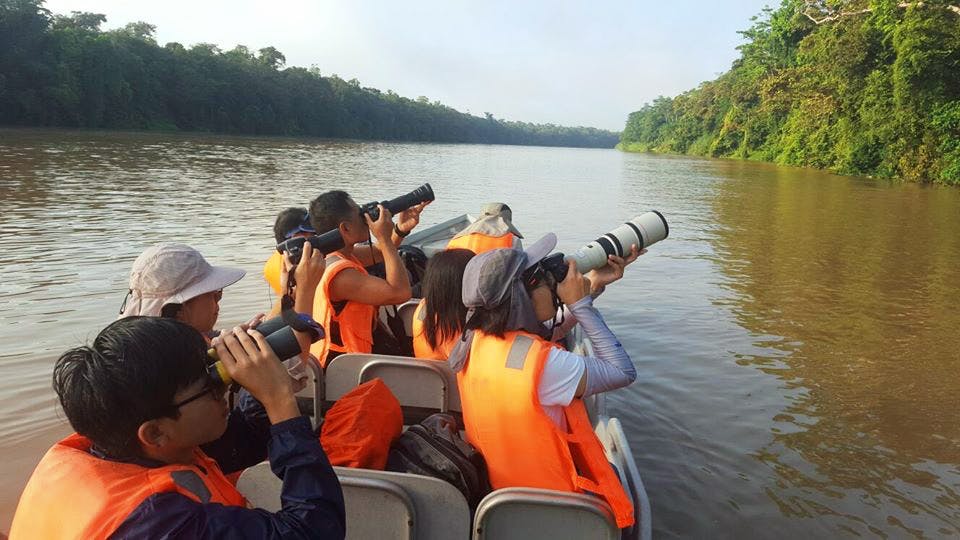 River safari along Kinabatangan River