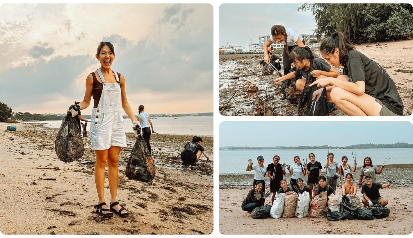 Do a beach clean up with a marine biologist - team building and doing good at the same time!