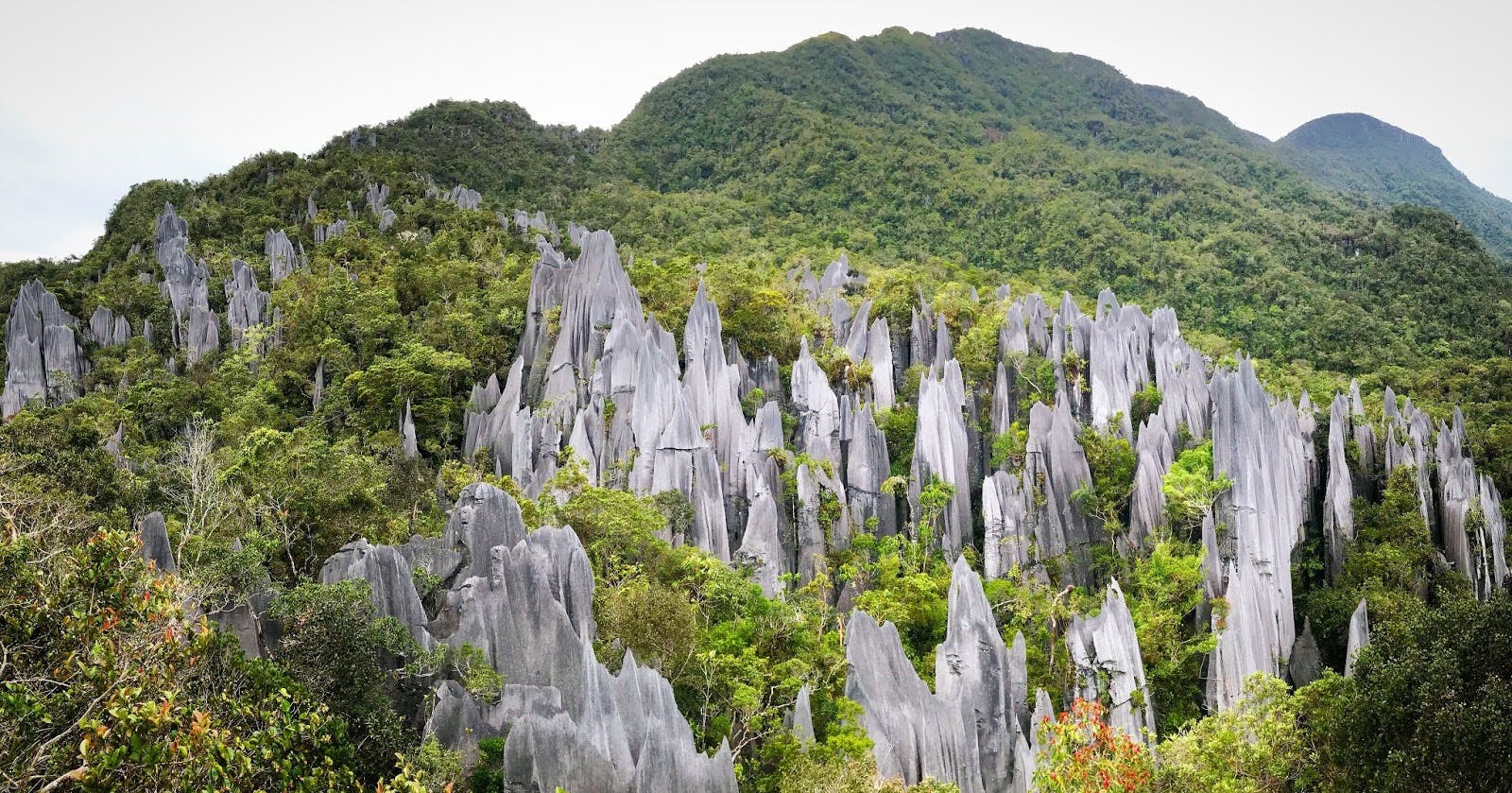 Malaysia's First and Most Remote UNESCO Site is the True Explorer's Expedition