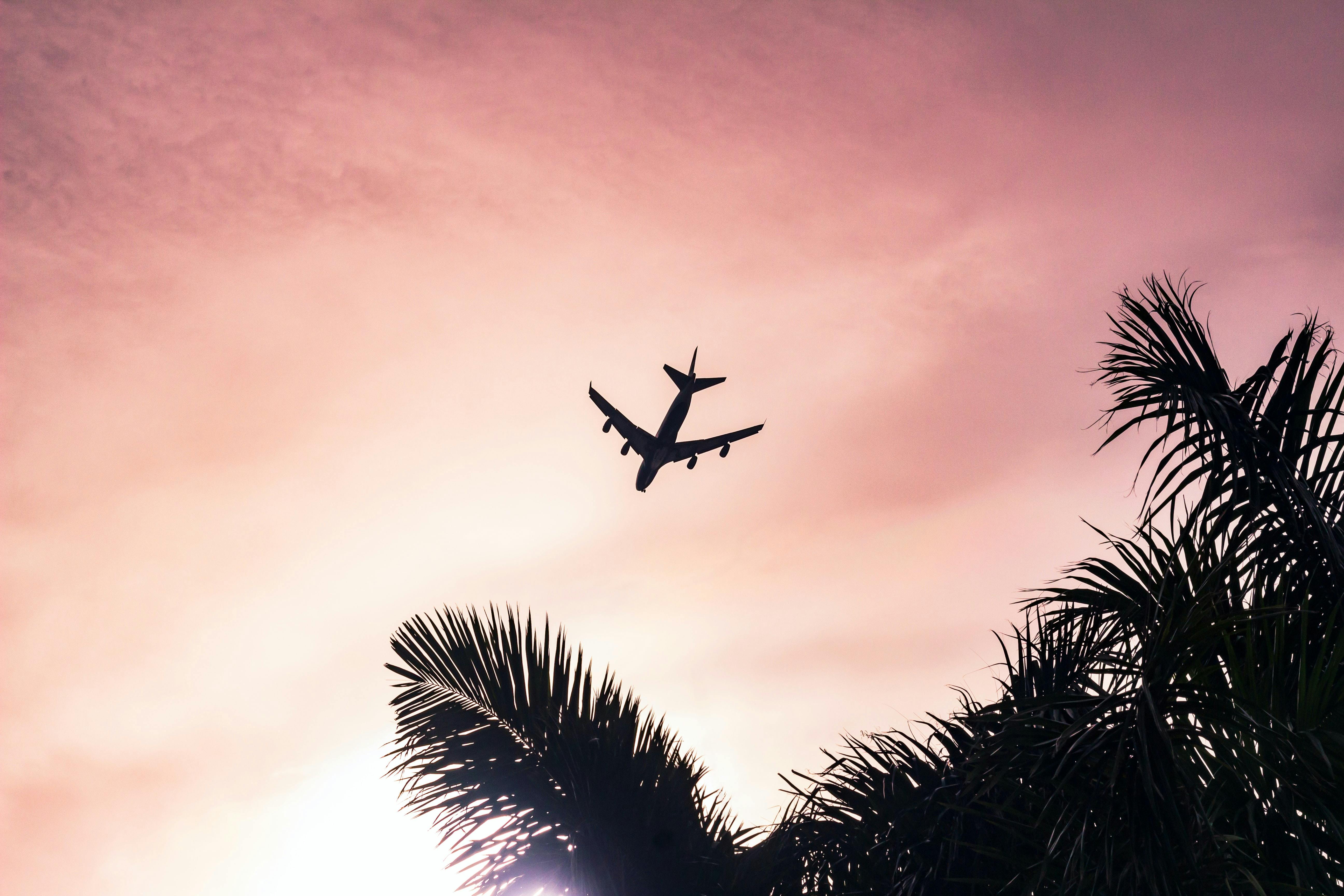 We took 3 Flights during Covid-19 - here's what you should know
