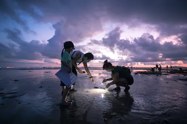 Spotting marine life with a naturalist guide on the beach 