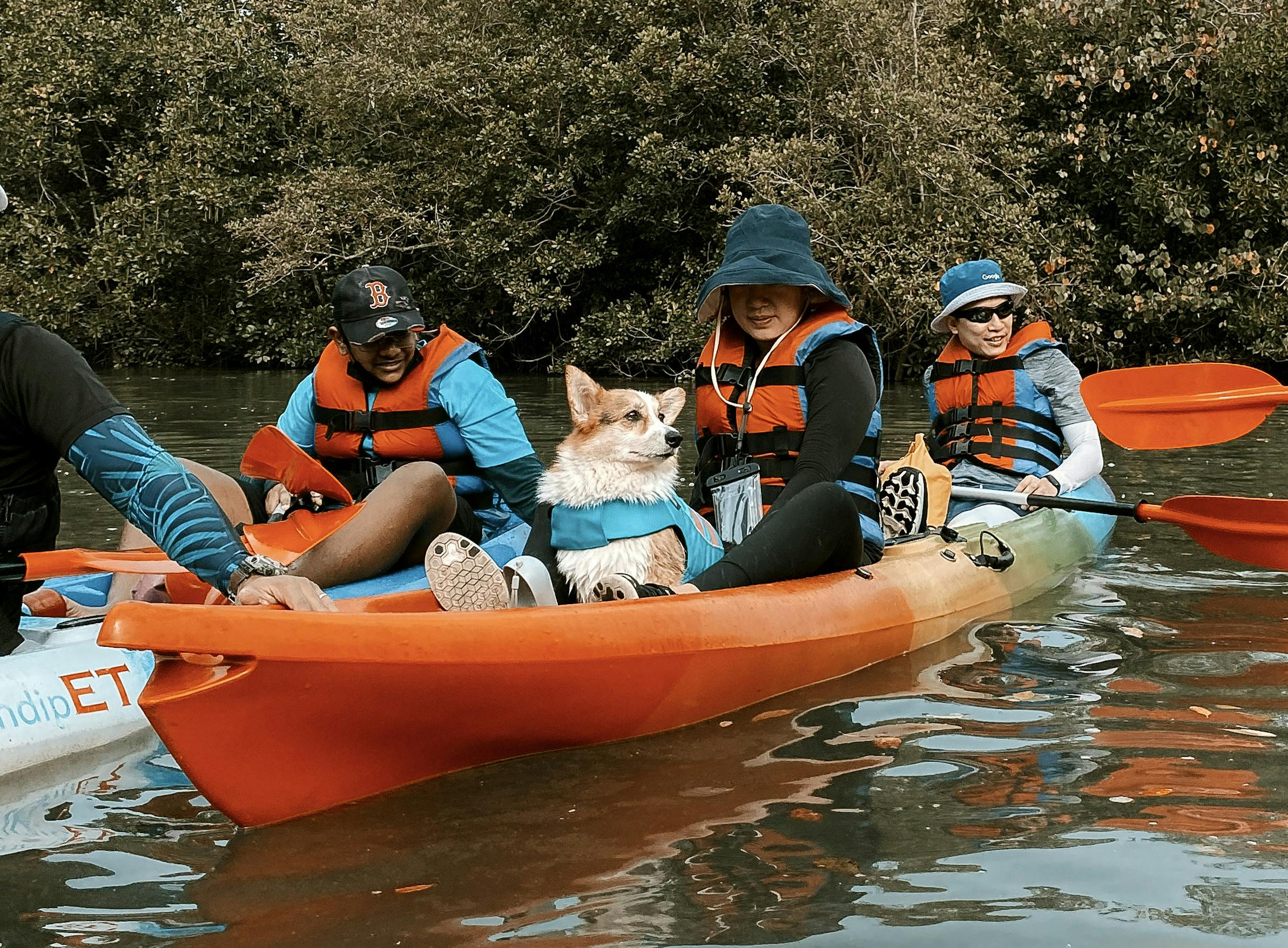 Mangrove Kayaking in Ubin (Bring Doggo!)