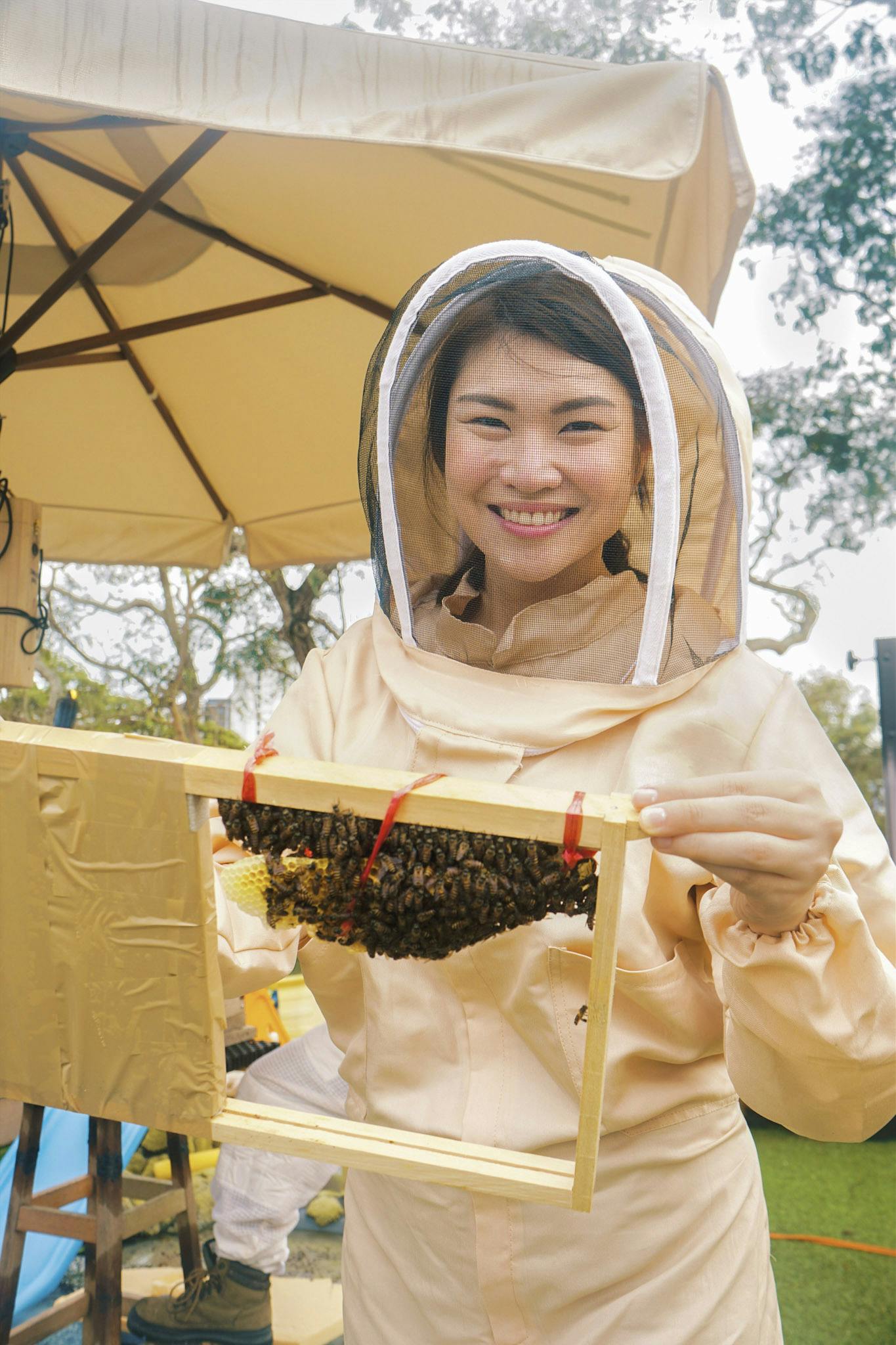 Learn about rescued bees at a rooftop farm