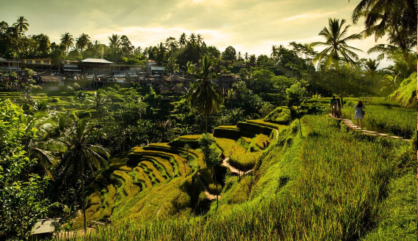 One of Bali's most famous rice terrace views is Tegallalang. See it in the most meaningful way