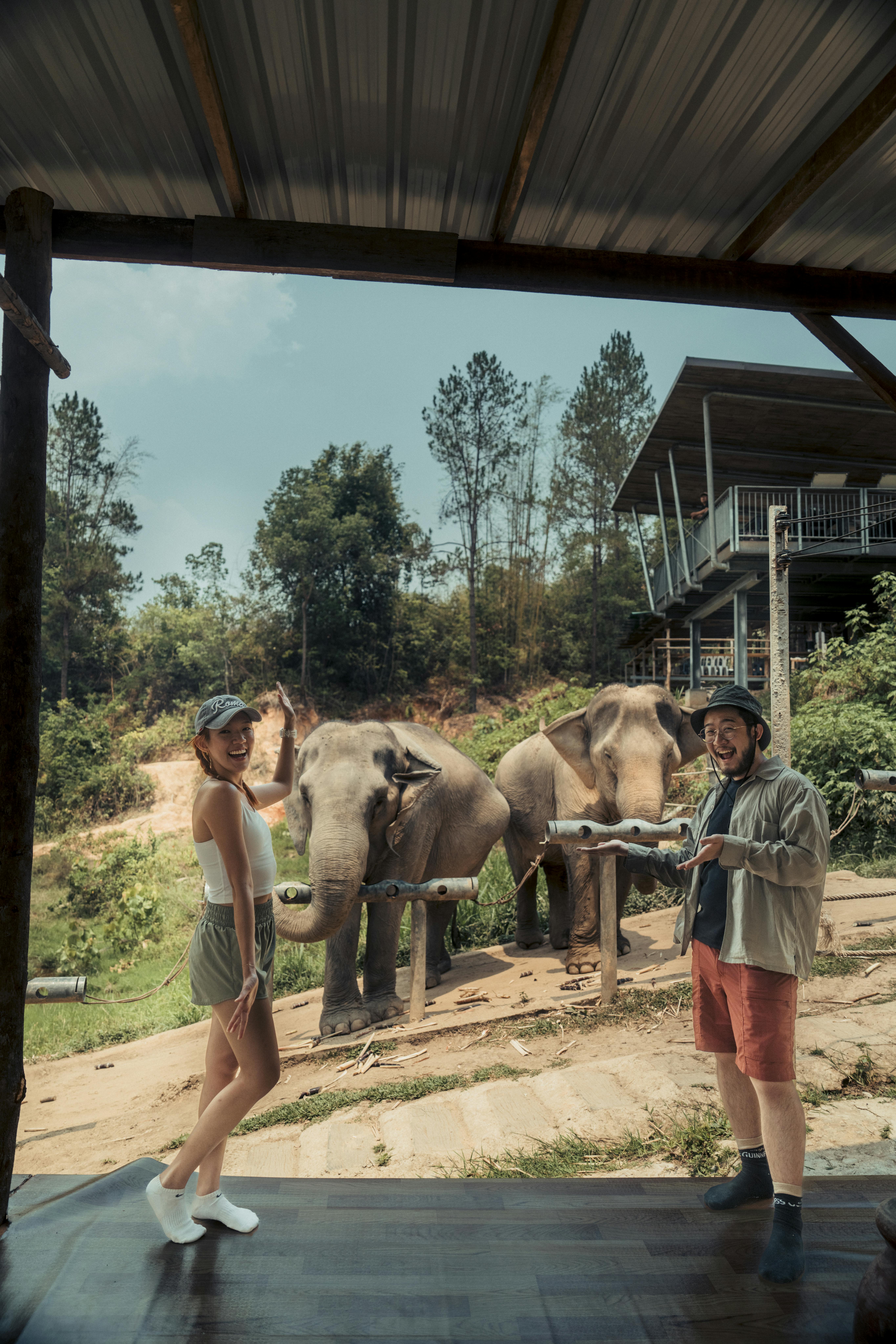 Chang Chill Elephant Sanctuary