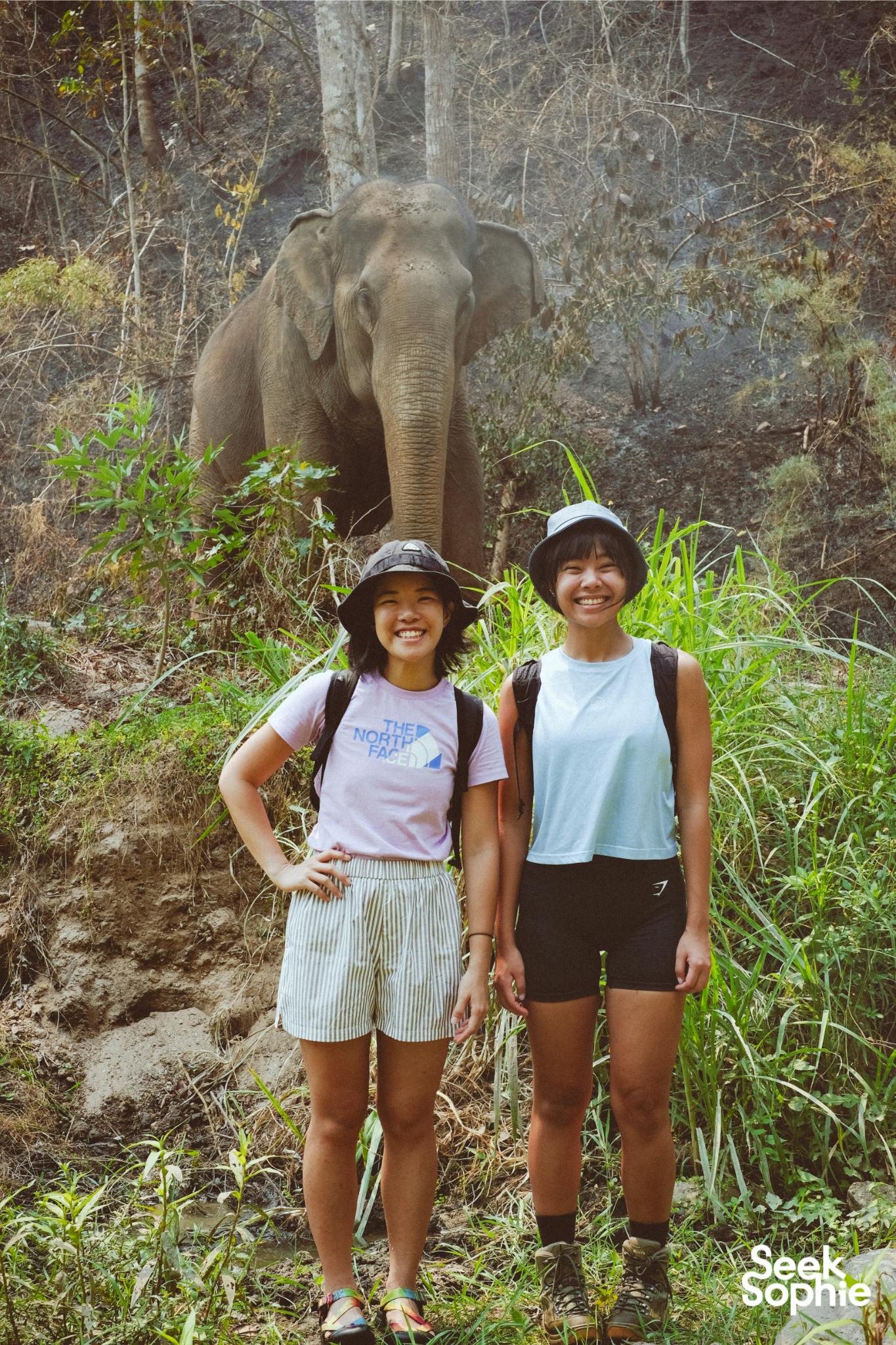 Burm & Emily's Elephant Sanctuary