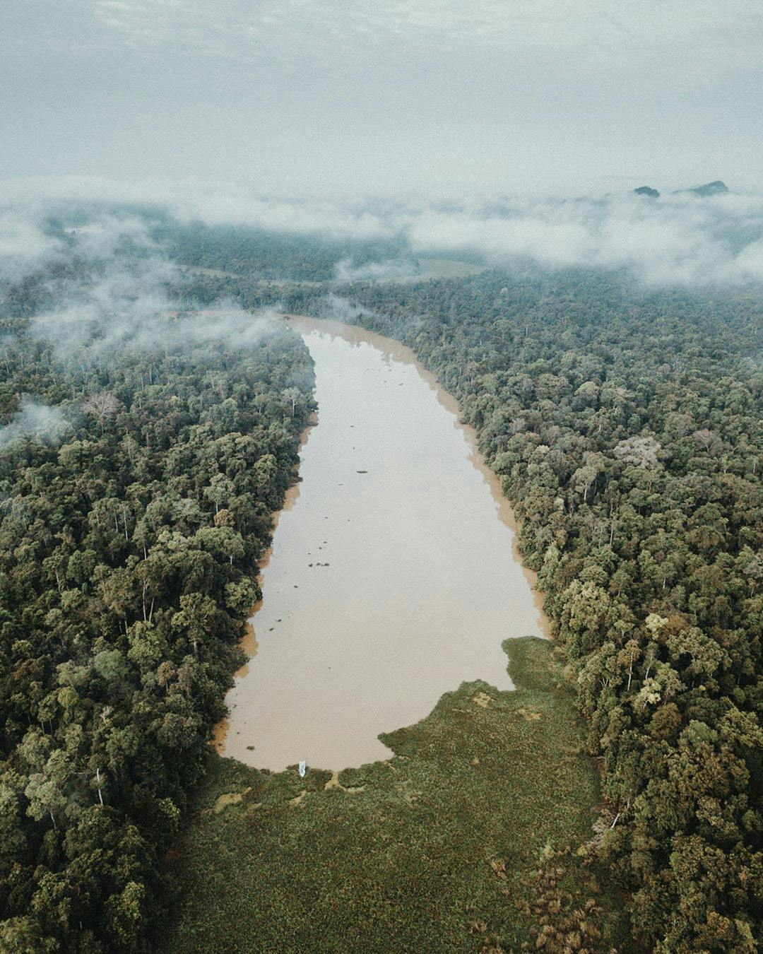 Kinabatangan River: Everything You Need to Know to Plan a Trip [2024] 