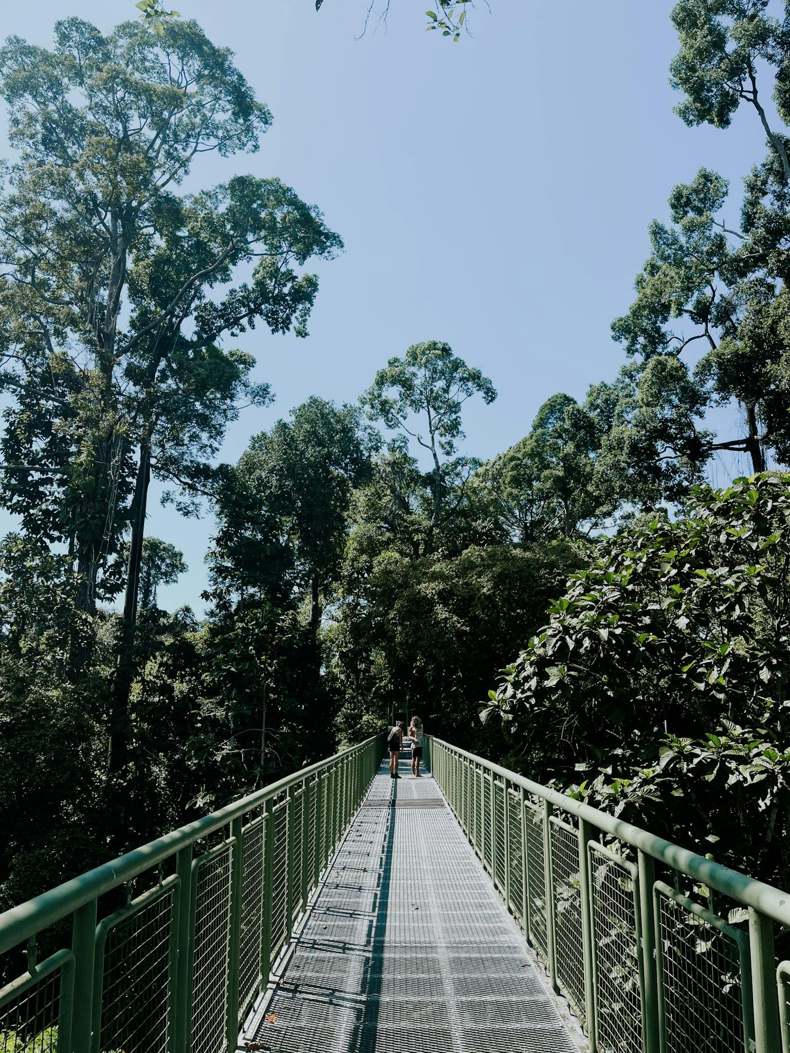 Rainforest Discovery Centre