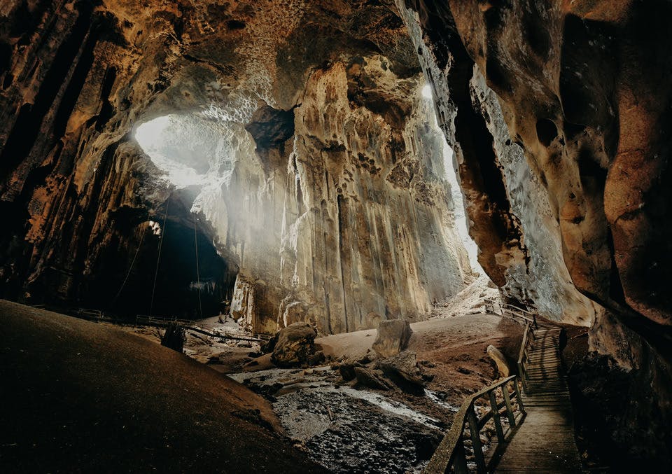 Gomantong Caves