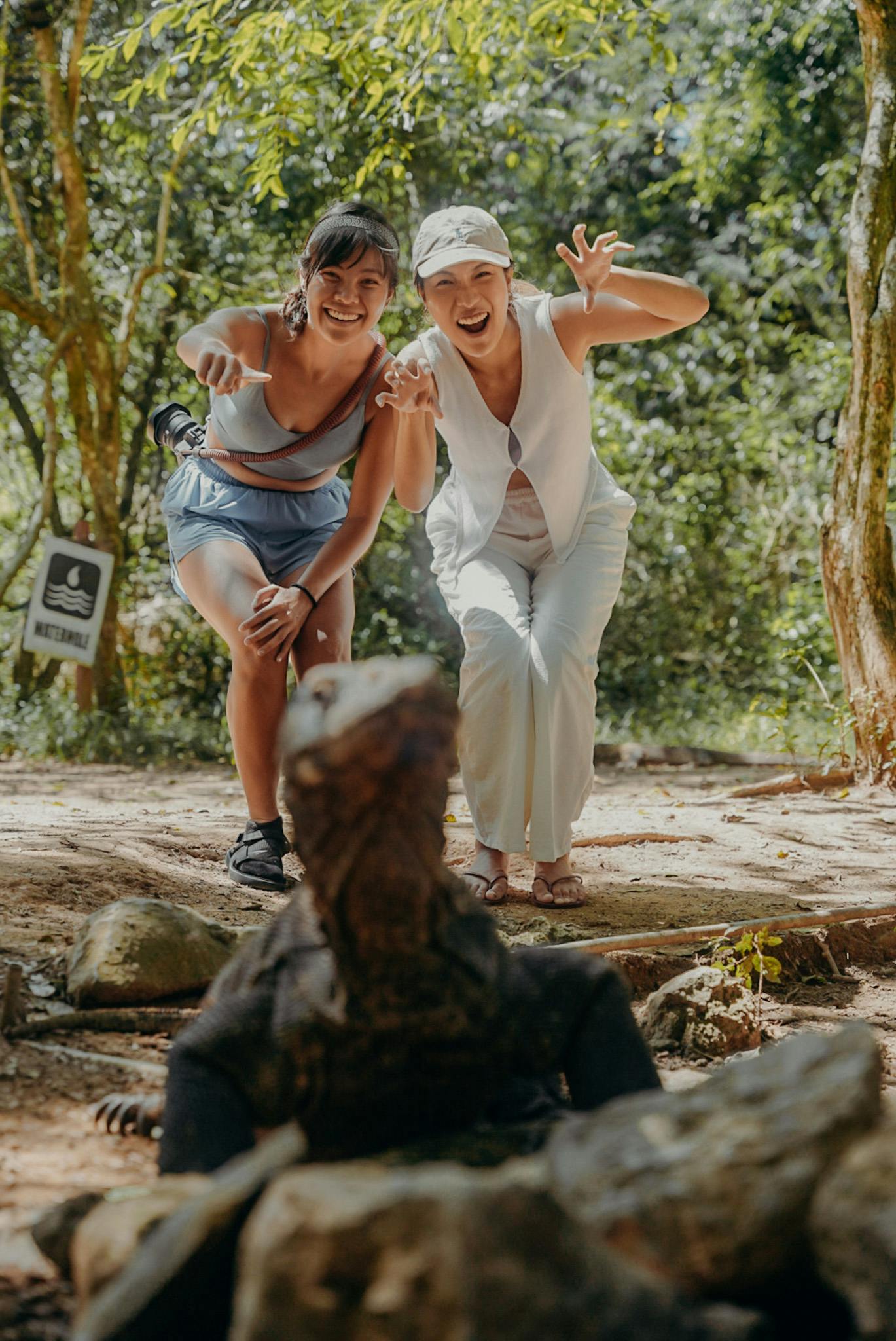 Meeting the Komodo dragons