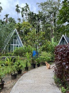 Outskirts of Khao Sok Village