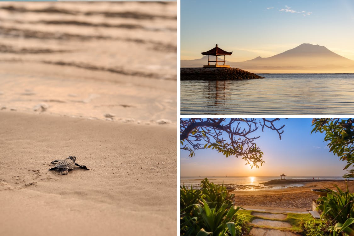 Come to Sanur if you want a gateway to dive spots in Nusa Penida, or if you want to help with sea turtle conservation.