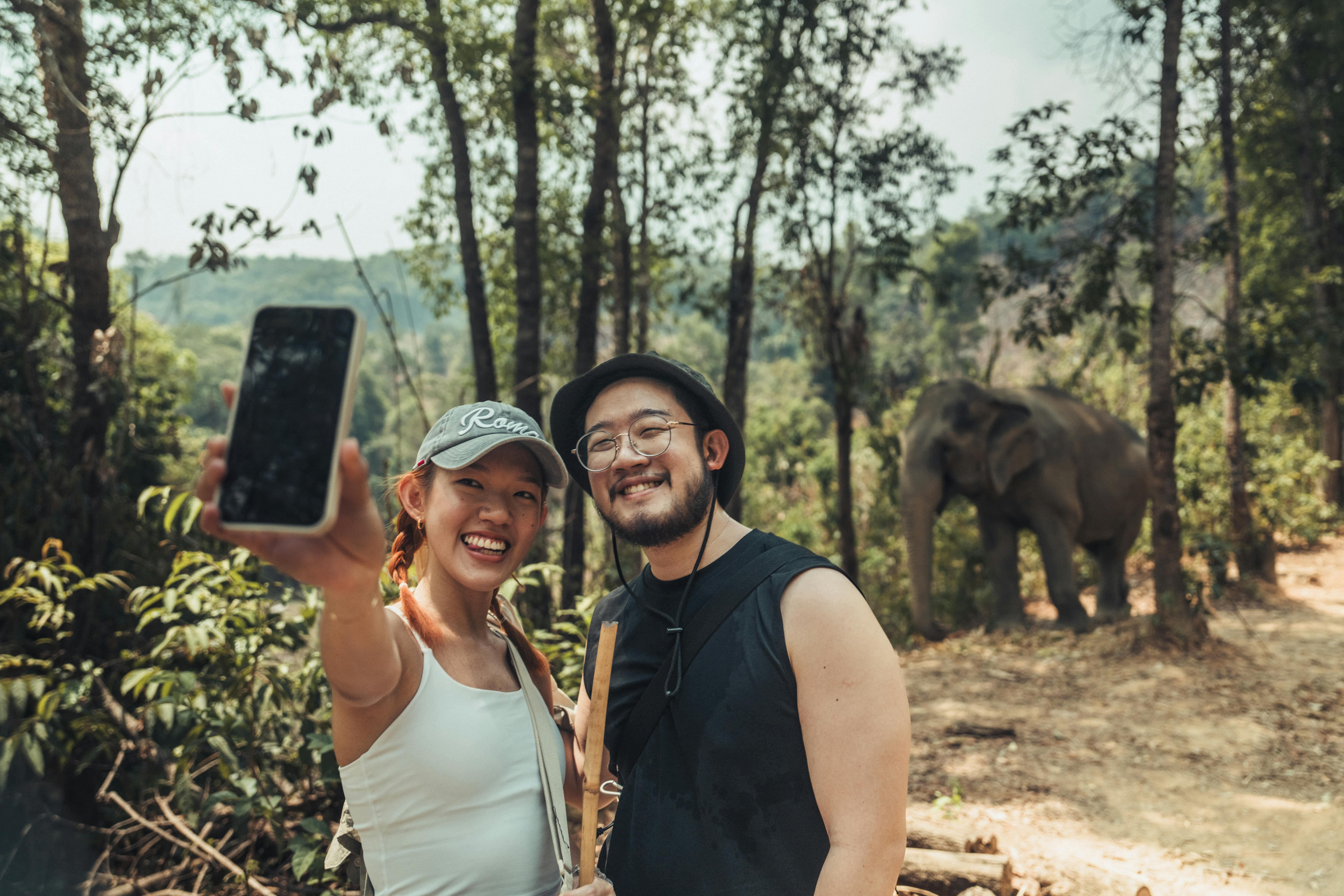 Selfies from afar like this are ok! If you can get next to elephants for a selfie, it's a red flag.