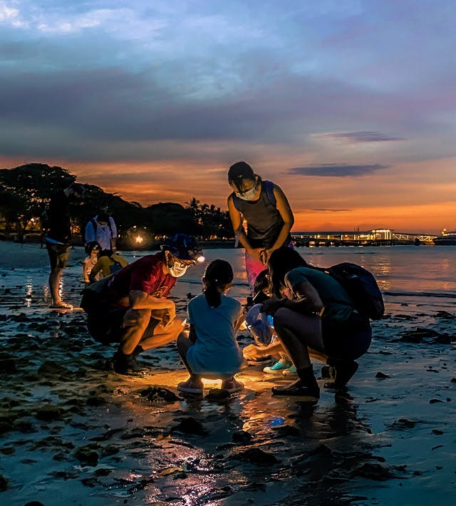 40 Amazing Ideas for June Hols (That Are Fun for Adults Too!)