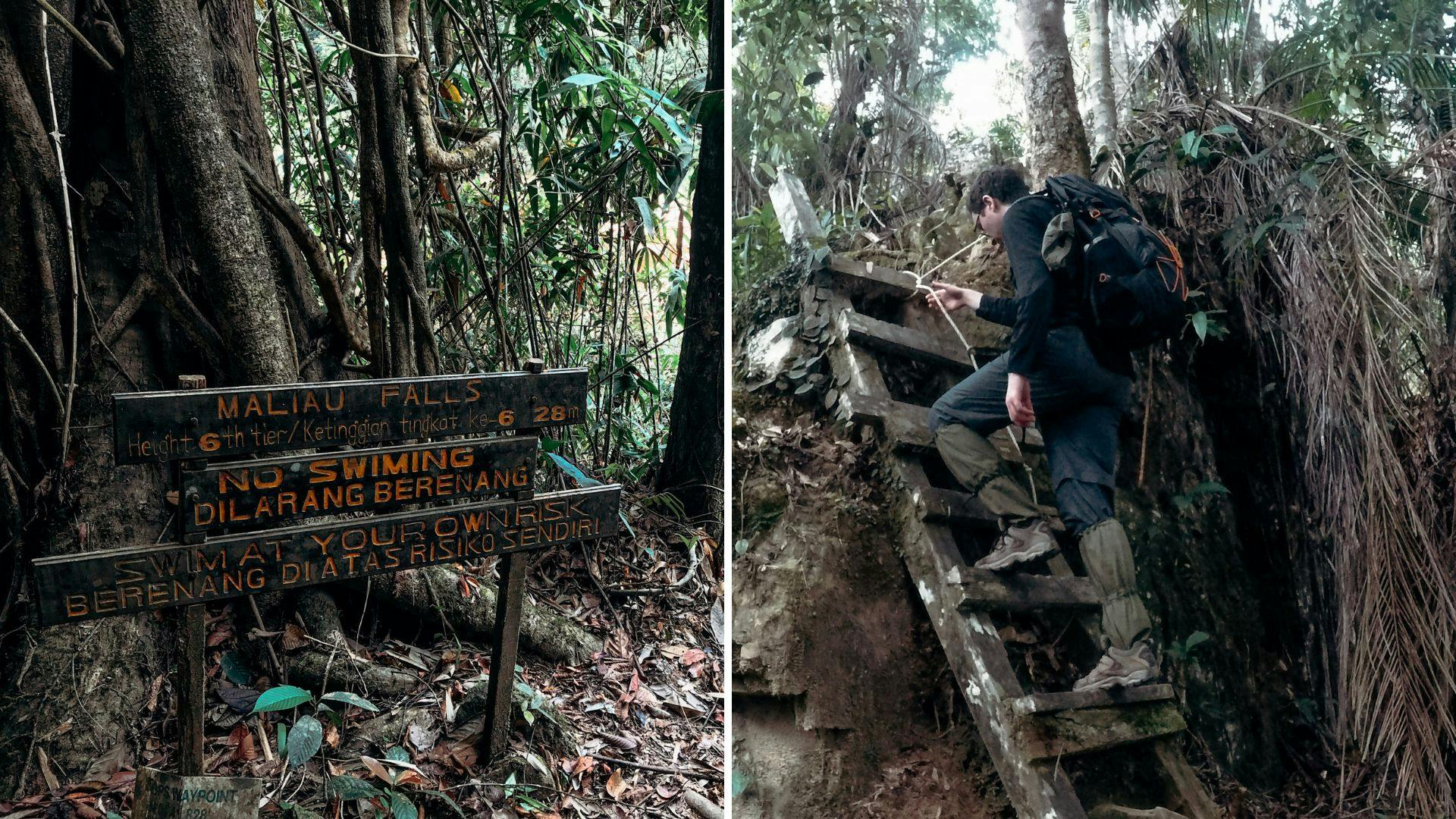 You'll be navigating steep forested trails and rickety ladders to get to Maliau Falls