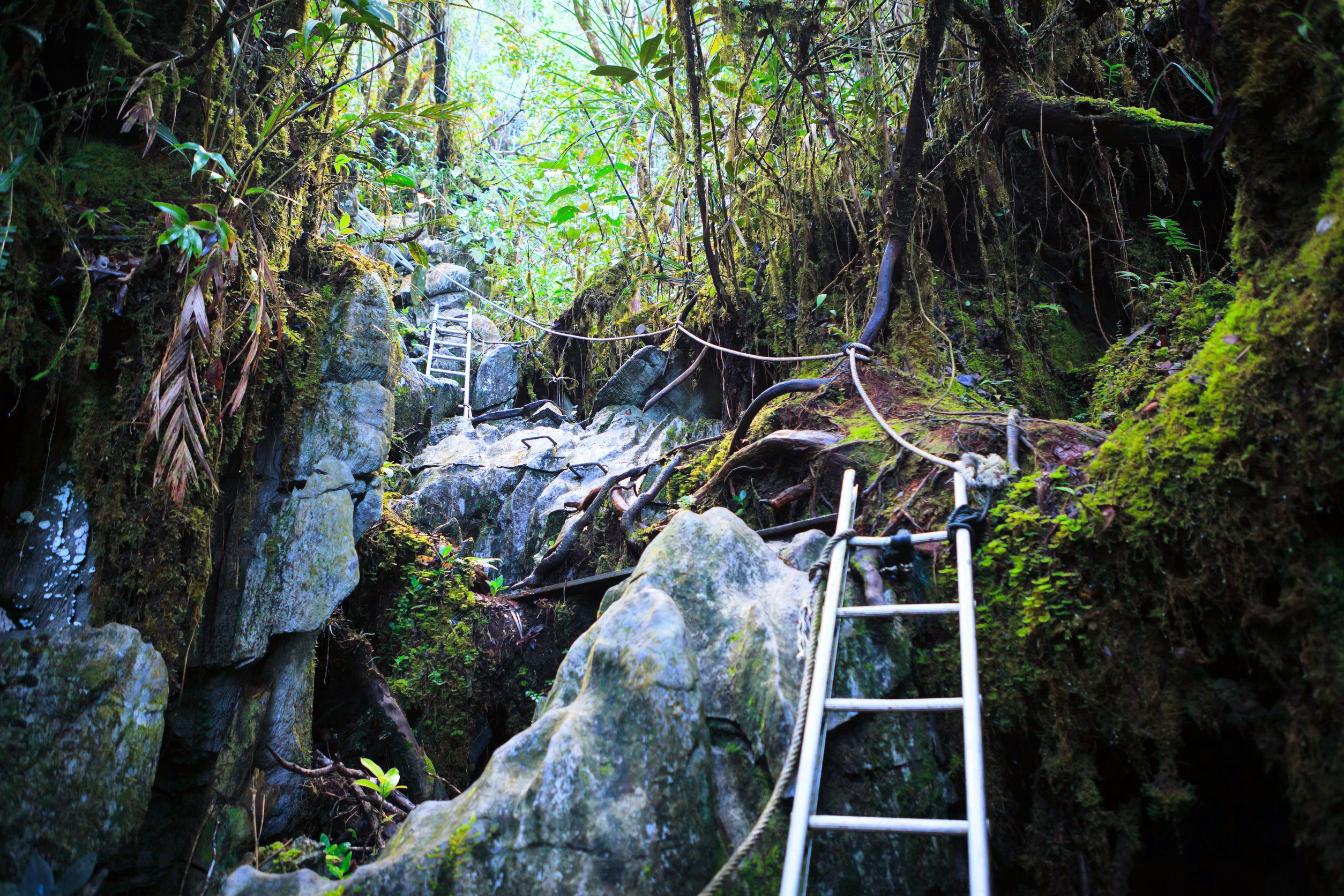 On the climb to the Mulu Pinnacles, you'll come across the 'Danger Zone' 