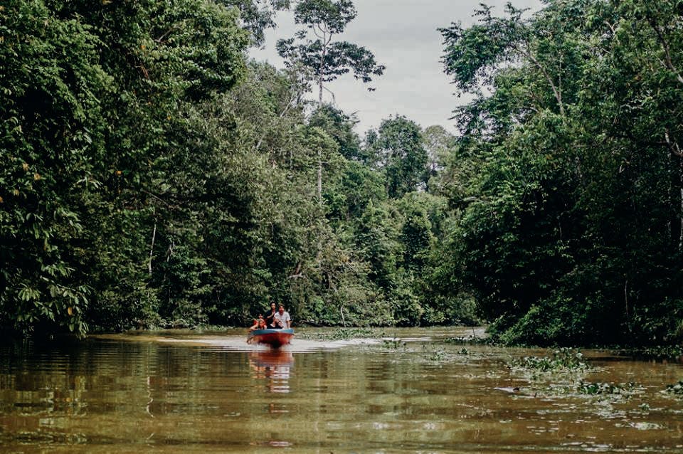 Kinabatangan River, the heart of Sandakan and Southeast Asia's Amazon