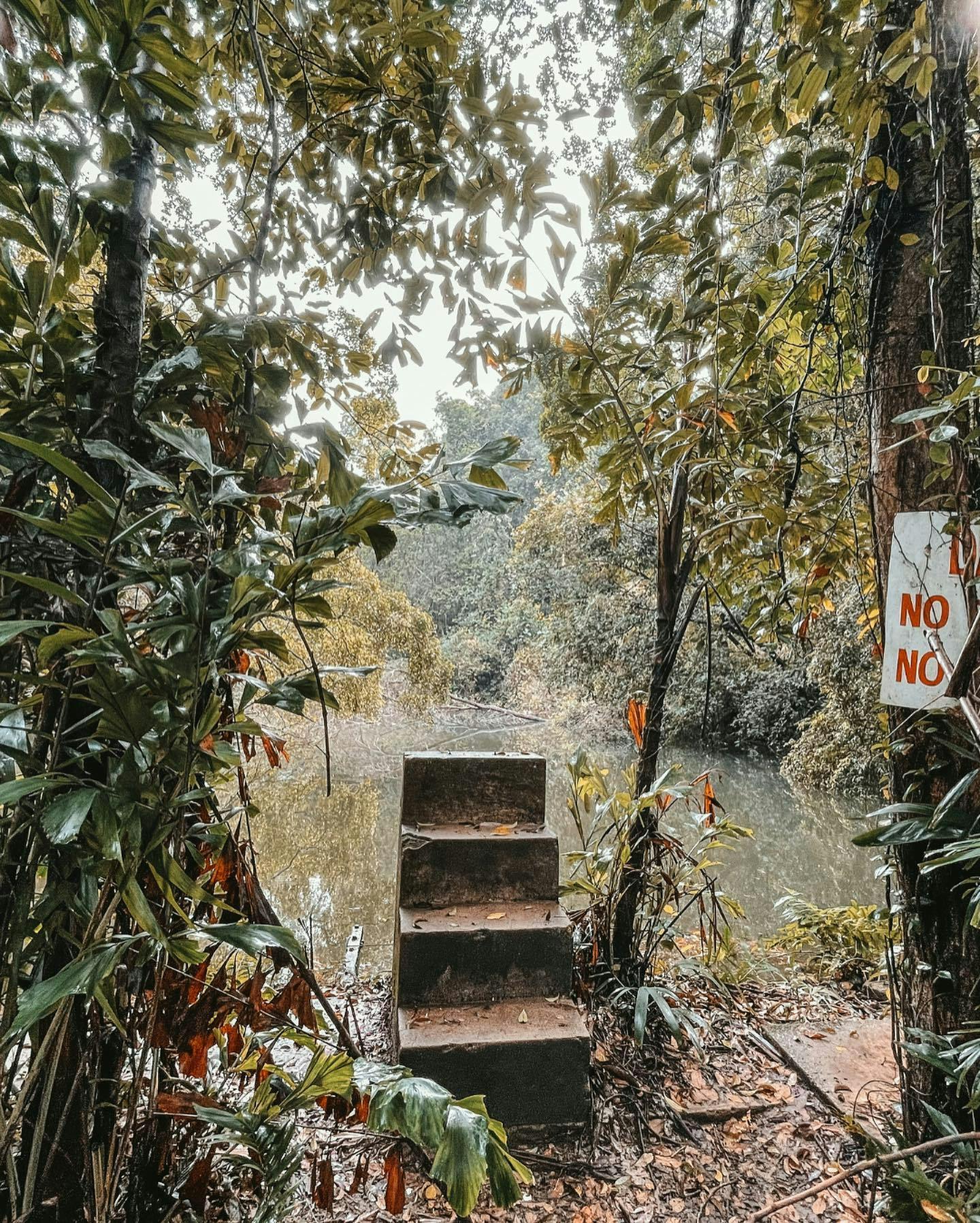 Hidden Hiking Trails & Nature Activities in Singapore You Haven't Heard Of