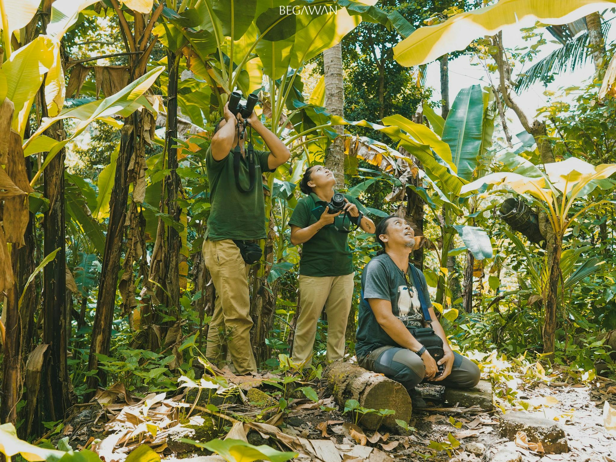 Spot the rare Bali Starling in the wild, supported by community conservation efforts