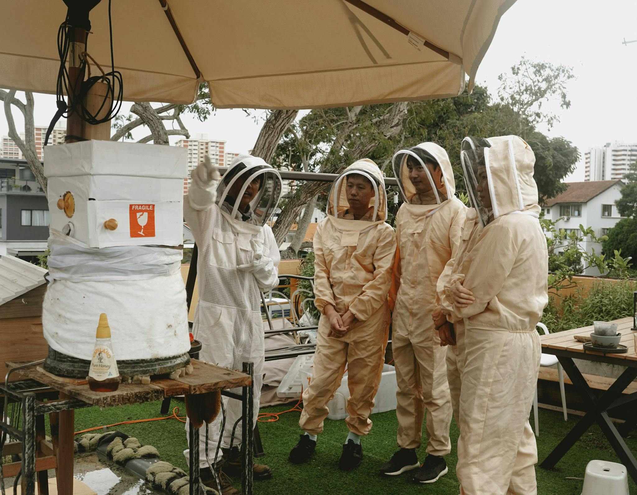 Learn about beekeeping and why bees are fundamental to our ecosystem 