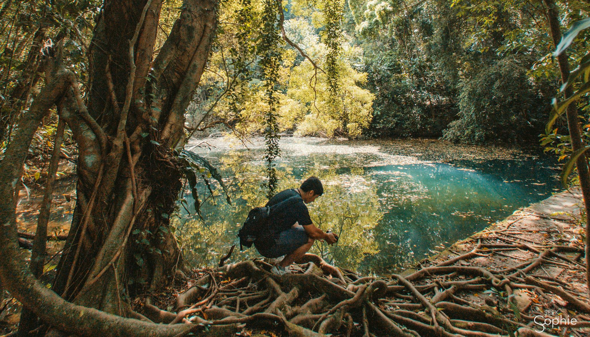 Discover Hidden Nature Trails in Singapore