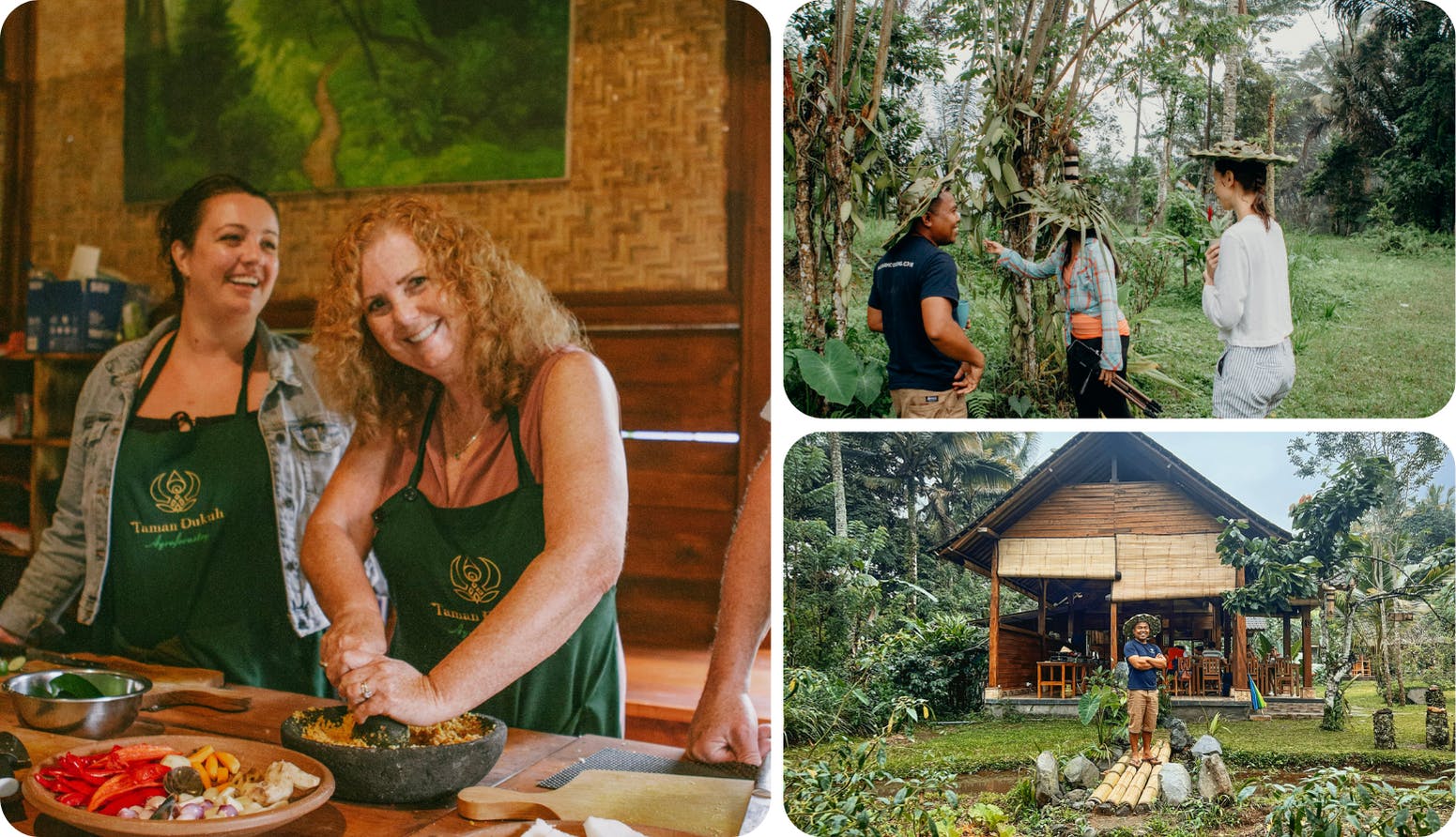 Visit a local organic farm to learn how produce is sourced, in this farm-to-table cooking class.