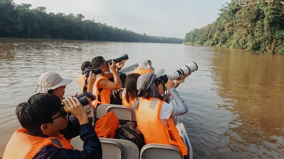 The most popular thing to do here is a wildlife safari on Kinabatangan River