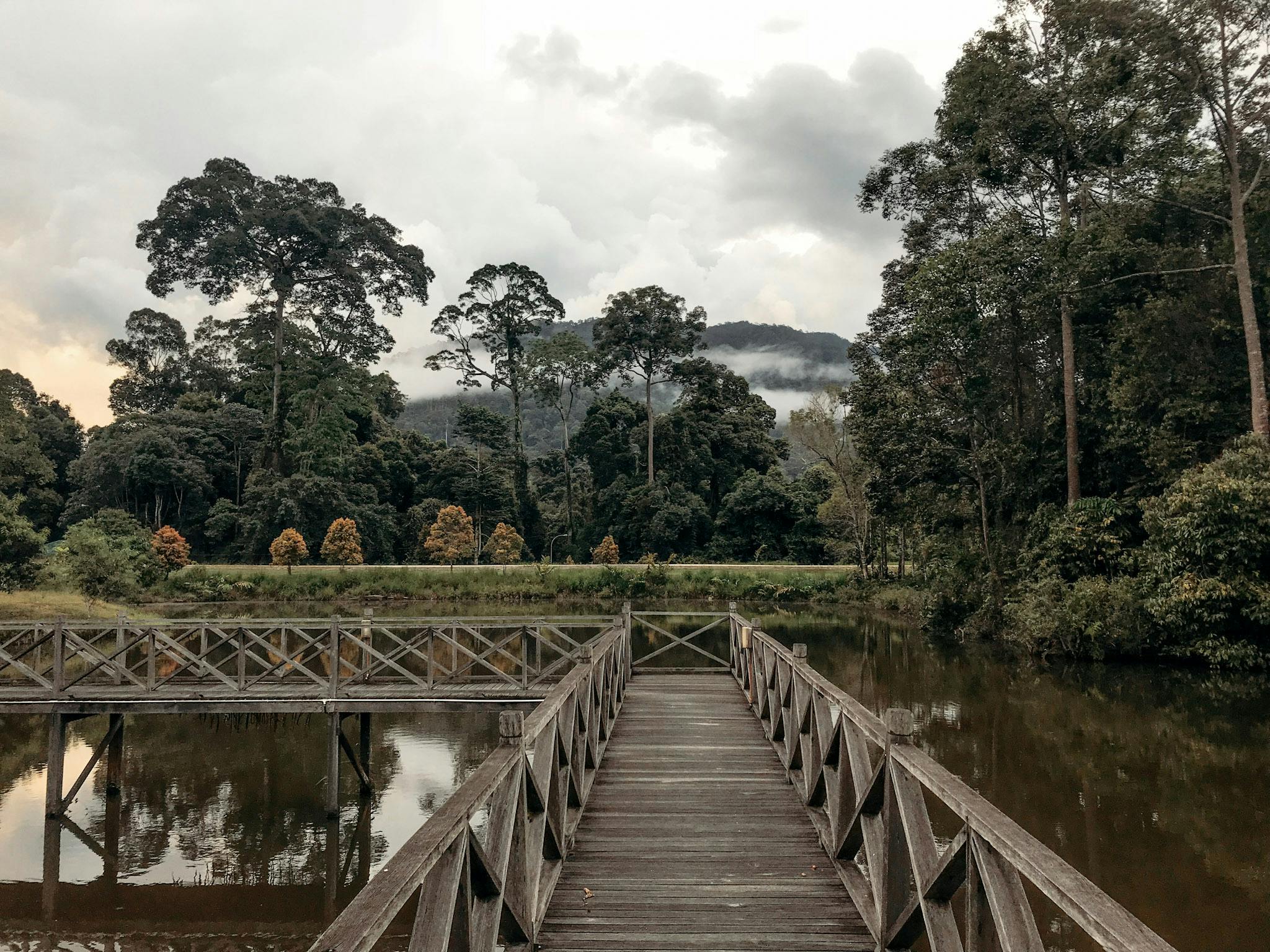 Maliau Basin Studies Area, the outer rim of the conservation zone, is pretty built up and has boardwalks to explore 